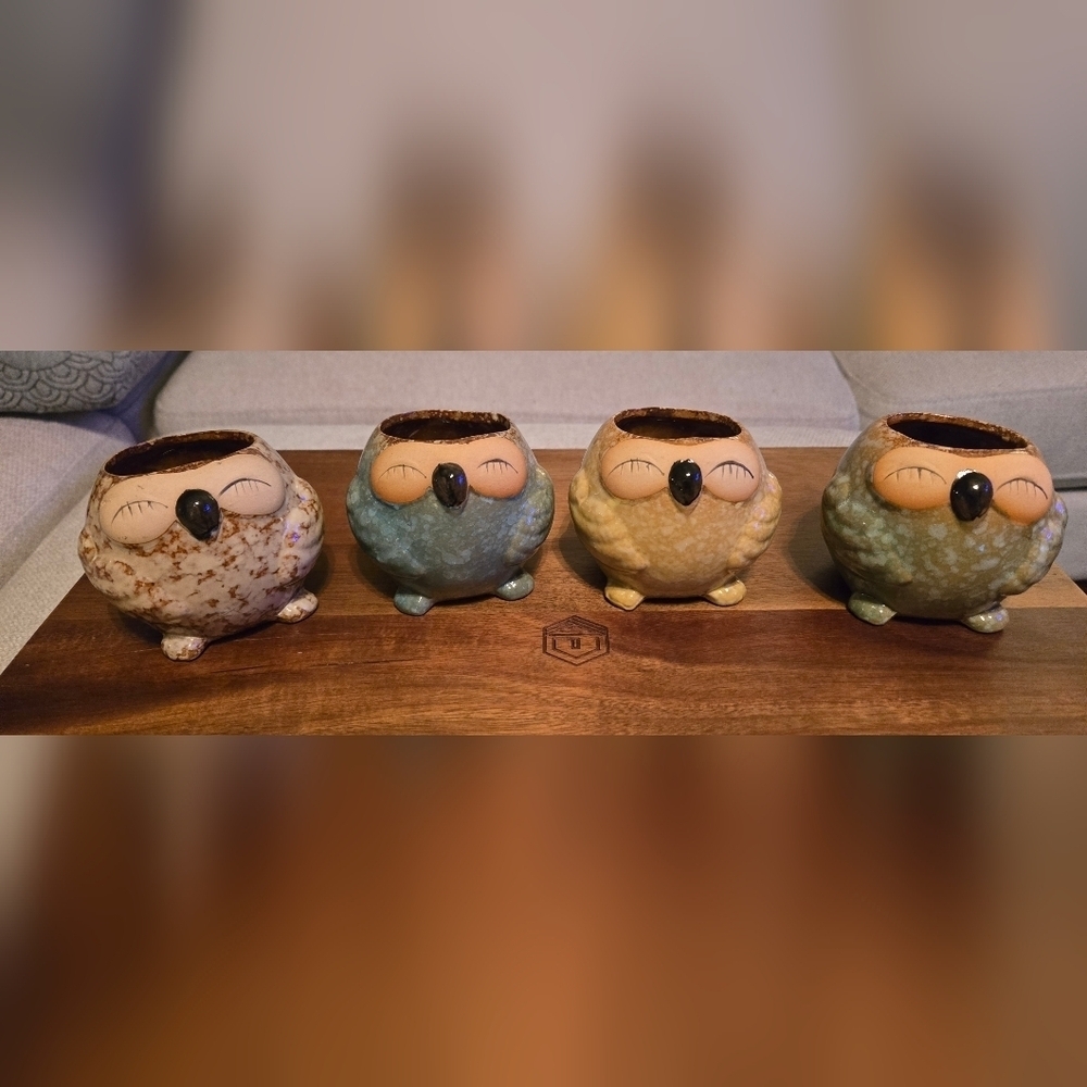 NWOT | Adorable Ceramic Owl Succulent Planter Pots | Set Of 4 | Drainage Holes - Picture 10 of 16